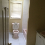 The Basic Bathroom Co. - remodeled full bathroom with bathtub-shower combination - before - July 2014