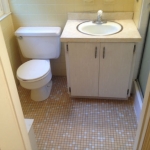 The Basic Bathroom Co. - remodeled full bathroom with shower - before - November 2014