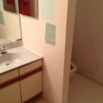 The Basic Bathroom Co. - remodeled full bathroom with shower and soaking tub - before - Somerville, NJ - December 2014